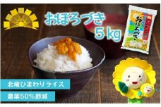 白米 おぼろづき 5kg 新米 予約 / ごはん こめ 米 お米 北海道 北海道米 ※10月～順次発送 【sun400-obo-r5】