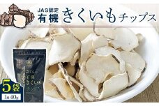 菊芋チップス 5袋入り 北海道産