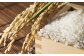令和7年産 特Aランク米 ななつぼし 無洗米 10kg（5kg×2袋）雪冷気 籾貯蔵 雪中米 北海道