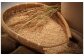 令和7年産 特Aランク米 ななつぼし 玄米 5kg（5kg×1袋）雪冷気 籾貯蔵 雪中米 北海道
