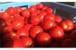 トマトセットA（トマトジュース食塩無添加缶×60本・トマトケチャップ×6個）