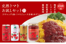完熟トマトお試しセットD（ケチャップ1個・トマトジュース各種1本ずつ）保存料 無添加 国産 北海道産 とまと 野菜ジュース 美容 健康 ヘルシーDo認定 ESSEふるさとグランプリ銀賞 n-0065