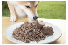 A104 犬用 エゾシカ肉 ドッグフード わんdeereフルセット 手作りごはん 北海道 鷹栖町 山恵 ドックフード