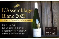 白ワイン L'Assemblage Blanc 2023（アッサンブラージュ ブラン2023） 白 ワイン 白ワイン 750ml お酒 酒 洋酒 アルコール