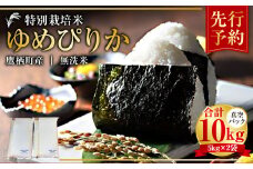 【令和7年産】 ゆめぴりか （無洗米） 真空パック 5kg×2袋 10kg 北海道 鷹栖町 たかすタロファーム 米 コメ こめ ご飯 無洗米 お米 ゆめぴりか コメ 無洗米 【2025年9月下旬より発送開始】
