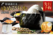 【令和7年産】 ゆめぴりか （白米） 真空パック 5kg×2袋 10kg 北海道 鷹栖町 たかすタロファーム 米 コメ こめ ご飯 白米 お米 ゆめぴりか コメ白米 白米 【2025年9月下旬より発送開始】