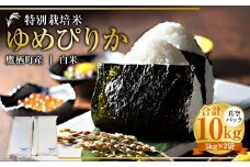 【令和7年産】 ゆめぴりか （白米） 真空パック 5kg×2袋 10kg 北海道 鷹栖町 たかすタロファーム 米 コメ こめ ご飯 白米 お米 ゆめぴりか コメ白米 白米