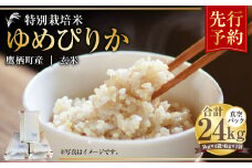 【令和7年産】 ゆめぴりか （玄米） 真空パック 24kg 北海道 鷹栖町 たかすタロファーム 米 コメ こめ ご飯 玄米 お米 ゆめぴりか コメ 玄米 【2025年9月下旬より発送開始】