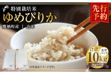 【令和7年産】 ゆめぴりか （玄米） 真空パック 5kg×2袋 10kg 北海道 鷹栖町 たかすタロファーム 米 コメ こめ ご飯 玄米 お米 ゆめぴりか コメ 玄米 【2025年9月下旬より発送開始】