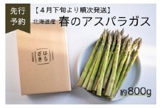 A133　【先行予約】春限定お届け！太いほど甘い【北海道産 春のアスパラガス】 約800ｇ2Ｌ～3Ｌ（予約受付中）北海道 鷹栖町 原崎農園