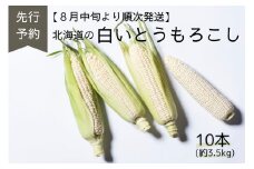 A134　【先行予約】夏限定お届け！フルーティな甘み！ロイシーコーン【北海道の白いとうもろこし】 （10本セット）北海道 鷹栖町 原崎農園