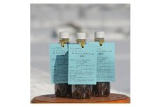 A142コーヒー 豆 深煎り 165g（ 500mlペットボトル）× 3本 北海道 鷹栖町 ちゃちゃびーんず ｺｰﾋｰ豆 珈琲 豆 ｺｰﾋｰ 