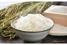 A172  【 令和7年産 】 ゆめぴりか ななつぼし （ 無洗米 ） 真空パック 2kg×各2袋 セット 北海道 鷹栖町 たかすタロファーム 米 コメ こめ ご飯 お米