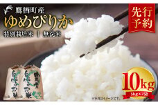 【令和7年産】 ゆめぴりか （無洗米） 5kg×2袋 北海道 鷹栖町 たかすタロファーム 米 コメ こめ ご飯 白米 お米 ゆめぴりか 無洗米 【2025年9月下旬より発送開始】