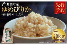 【令和7年産】 ゆめぴりか （玄米） 5kg  北海道 鷹栖町 たかすタロファーム 米 コメ こめ ご飯 玄米 お米 ゆめぴりか コメ 玄米 【2025年9月下旬より発送開始】