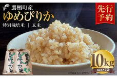 【令和7年産】 ゆめぴりか （玄米） 5kg×2袋 北海道 鷹栖町 たかすタロファーム 米 コメ こめ ご飯 玄米 お米 ゆめぴりか コメ 玄米 【2025年9月下旬より発送開始】