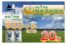 【令和7年産】 ゆめぴりか （玄米） 北海道 米 を代表する人気の品種 10kg×2袋 20kg 【2025年10月上旬発送開始】 北海道 鷹栖町 たかすのお米 米