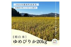 A254【令和６年産】ゆめぴりか（精白米）特Aランク 10kg×2袋 20kg 北海道 鷹栖町 たかすのおむすび 米 コメ ご飯 精 白米 お米 ゆめぴりか