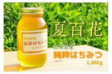 A267 はちみつ 夏百花 1,200ｇ 蜂蜜 国産 日本産 北海道産 みつばち工房 山路 鷹栖町 ハチミツ 蜂蜜 ハチ蜜 はちみつ