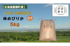 A270【令和６年産】一等米・特別栽培米 ５kg【ゆめぴりか玄米】５kg×１（農薬７割減）北海道 鷹栖町 原崎農園 