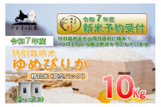 【令和7年産】 ゆめぴりか (精白米) 北海道 米 を代表する人気の品種 真空パック 5kg×2袋 10kg 【2025年10月上旬発送開始】 北海道 鷹栖町 たかすのお米