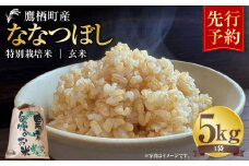 【令和7年産】 ななつぼし （玄米）  5kg 米 お米 玄米 北海道 玄米ご飯 鷹栖町 【2025年9月下旬より発送開始】