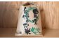  ななつぼし （玄米） 5kg