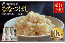 【令和7年産】 ななつぼし （玄米） 5kg×2袋 米 お米 玄米ごはん 玄米 北海道 鷹栖町 【2025年9月下旬より発送開始】