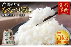 【令和7年産】 ななつぼし （白米） 5kg 米 お米 精白米 白米 こめ 北海道 鷹栖町 【2025年9月下旬より発送開始】