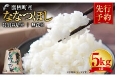 【令和7年産】 ななつぼし （無洗米） 5kg  米 白米 ごはん お米 5キロ 無洗米 北海道 鷹栖町 【2025年9月下旬より発送開始】