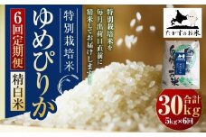 【6回定期便】ゆめぴりか （精白米） 5kg×6回 たかすのお米 【2025年10月下旬より発送開始】合計30kg 北海道 鷹栖町 たかすのお米 米 コメ ご飯 