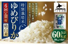 【6回定期便】ゆめぴりか （精白米） 10kg×6回 北海道 鷹栖町 【2025年10月下旬より発送開始】 合計60kg たかすのお米 特別栽培米 米 コメ ご飯 精 白米 お米 ゆめぴりか
