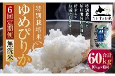 【6回定期便】ゆめぴりか （無洗米） 10kg×6回 【2025年10月下旬より発送開始】 合計60kg 北海道 鷹栖町 たかすのお米 特別栽培米 米 コメ ご飯 無洗米 お米 ゆめぴりか