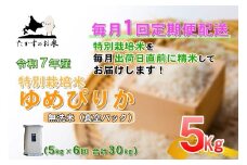 【6回定期便】ゆめぴりか (無洗米) 真空パック 5kg×6回  【2025年10月下旬より発送開始】　合計30kg 北海道 米 を代表する人気の品種 北海道 鷹栖町 たかすのお米 特別栽培米 米 コメ ご飯 精 白米 お米 ゆめぴりか