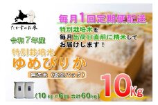 【6回定期便】ゆめぴりか （無洗米） 真空パック 10kg×6回  【2025年10月下旬より発送開始】 合計60kg 北海道 米 を代表する人気の品種 北海道 鷹栖町 たかすのお米 特別栽培米 米 コメ ご飯 精 白米 お米 ゆめぴりか