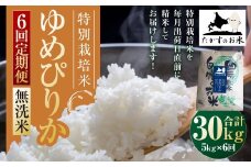 【6回定期便】ゆめぴりか （無洗米） 5kg×6回 【2025年10月下旬より発送開始】 合計30kg 北海道 鷹栖町 たかすのお米 特別栽培米 米 コメ ご飯 無洗米 お米 ゆめぴりか