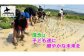 【6回定期便】 【令和7年産】 ゆめぴりか （真空・精白米） 10kg×6回