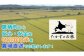 【 令和6年産 】 ゆめぴりか （ 玄米 ） 特Aランク 安心・安全の高みへ！栽培期間中農薬不使用 10㎏