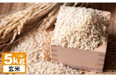 A241 【令和7年産】 ゆめぴりか （ 玄米 ） 栽培期間中農薬化学肥料不使用 5kg たかすタロファーム 北海道 鷹栖町 米 コメ こめ ご飯 お米