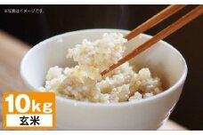 A247 【令和7年産】 ゆめぴりか （ 玄米 ） 栽培期間中農薬化学肥料不使用 真空パック 5kg×2袋 たかすタロファーム 北海道 鷹栖町 米 コメ こめ ご飯 お米