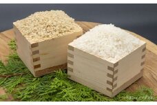 A165 【令和7年産】 ゆめぴりか ななつぼし （ 玄米 ） 各5kg 北海道 鷹栖町 たかすタロファーム 米 コメ こめ ご飯 お米