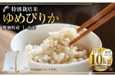 【令和7年産】 ゆめぴりか （玄米） 真空パック 5kg×2袋 10kg 北海道 鷹栖町 たかすタロファーム 米 コメ こめ ご飯 玄米 お米 ゆめぴりか コメ 玄米