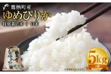 【令和7年産】 ゆめぴりか （白米） 5kg 北海道 鷹栖町 たかすタロファーム 米 コメ こめ ご飯 白米 お米 ゆめぴりか コメ 白米 
