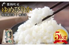 【令和7年産】 ゆめぴりか （無洗米） 5kg 北海道 鷹栖町 たかすタロファーム 米 コメ こめ ご飯 無洗米 お米 ゆめぴりか 無洗米