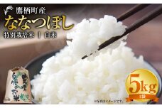 【令和7年産】 ななつぼし （白米） 5kg 北海道 鷹栖町 たかすタロファーム 米 コメ こめ ご飯 白米 お米 ななつぼし コメ 白米 