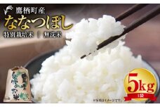 【令和7年産】 ななつぼし （無洗米） 5kg 北海道 鷹栖町 たかすタロファーム 米 コメ こめ ご飯 無洗米 お米 ななつぼし 無洗米