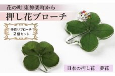 花の町 東神楽町から＜押し花ブローチ＞２個セット（夢花）