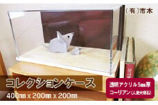 コレクションケース