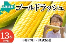 【2025年産 先行予約】スイートコーン ゴールドラッシュ 5kg 13本入り【東神楽農業協同組合】予約 野菜 トウモロコシ 甘い とうきび 新鮮 野菜 予約 国産 北海道産 夏発送