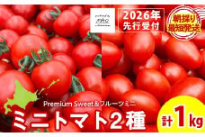 【2026年先行予約】 朝採りフルーツミニトマト＆フルーツミニ 計1kg